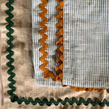 Load image into Gallery viewer, Sage Story