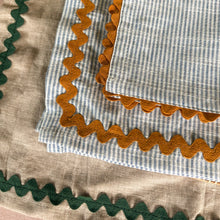 Load image into Gallery viewer, Sage Story